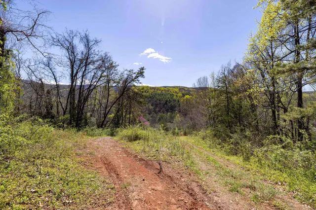 a view of a back yard