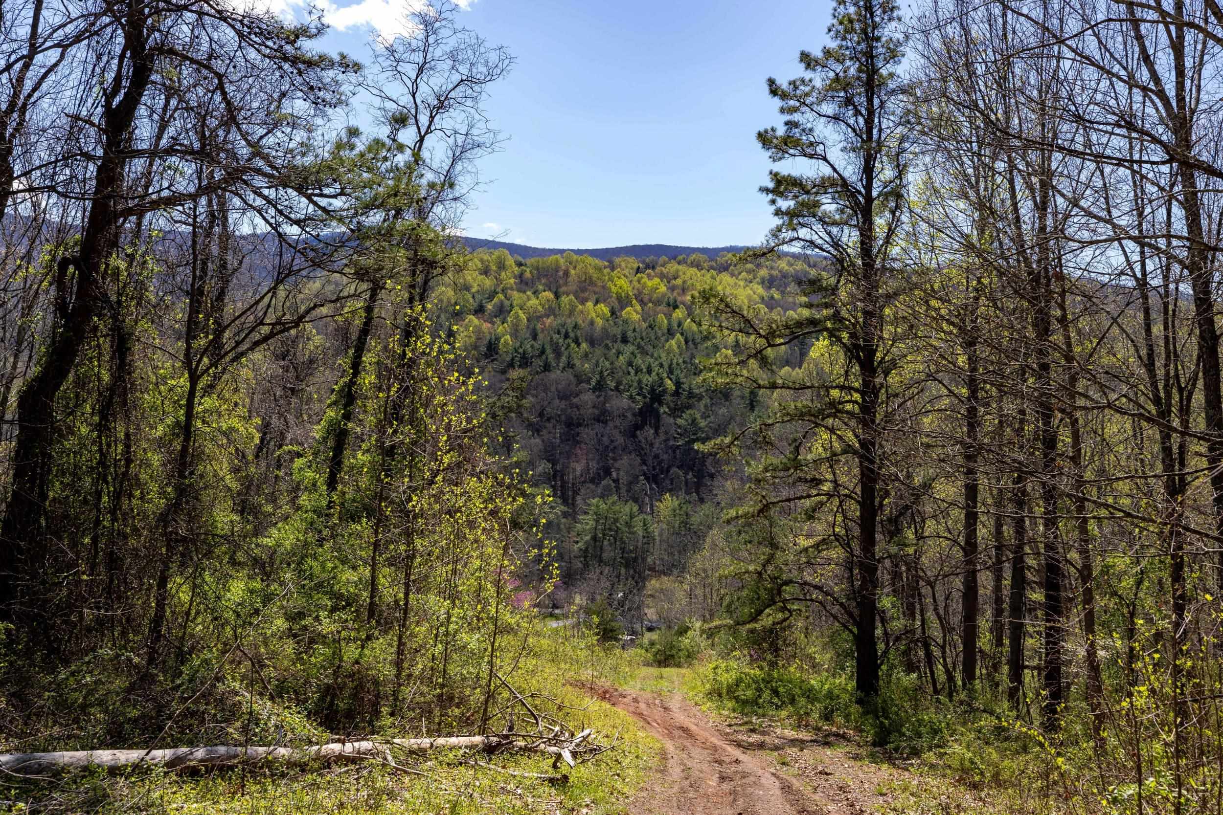 Off Jollett Road Elkton, VA 22827 - Photo 46 of 65