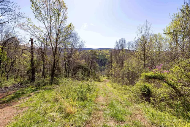 a view of a lush green mountain in the distance in a field