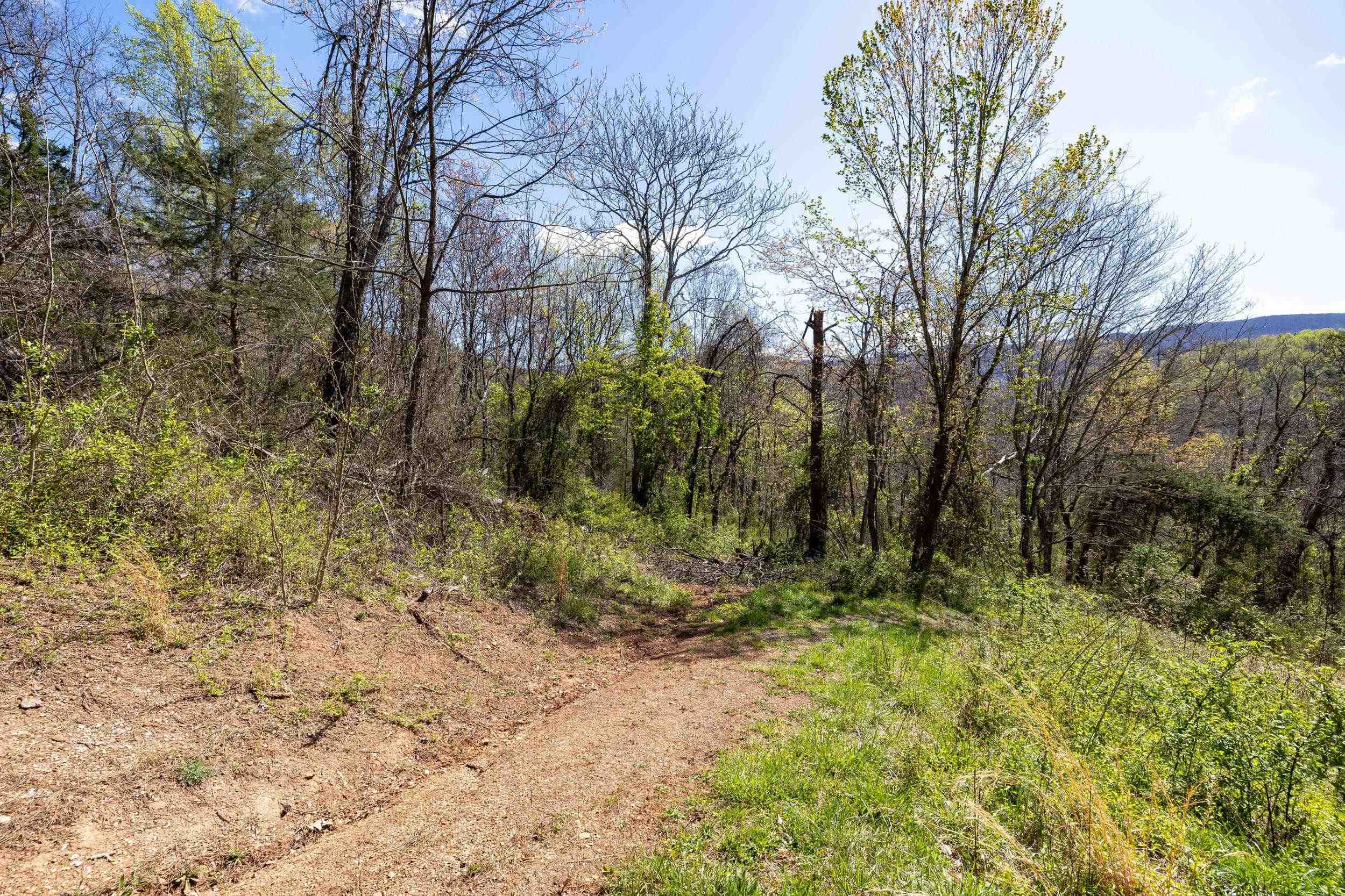 Off Jollett Road Elkton, VA 22827 - Photo 48 of 65 a view of backyard with green space