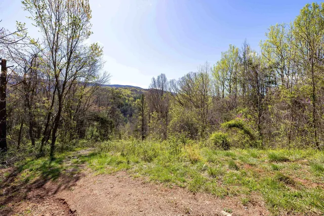 a view of a dry field with mountains in the background