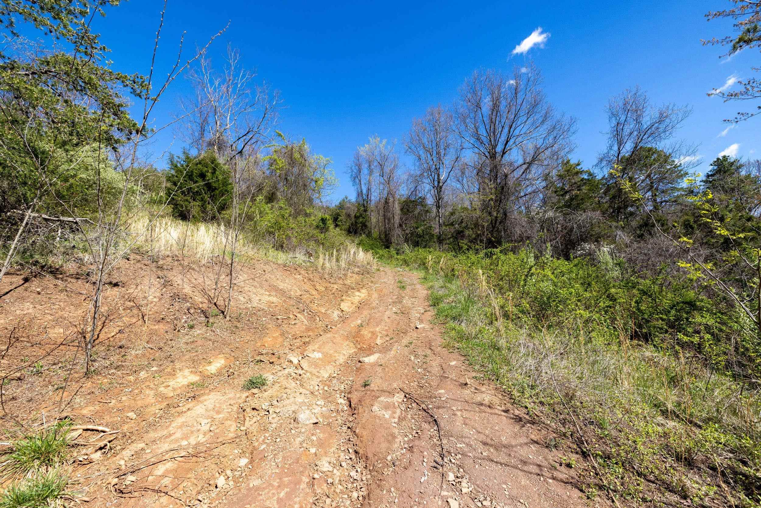 Off Jollett Road Elkton, VA 22827 - Photo 51 of 65 a view of a yard with a tree