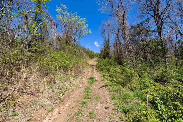 $199,900 | Off Jollett Road, Elkton, VA 22827