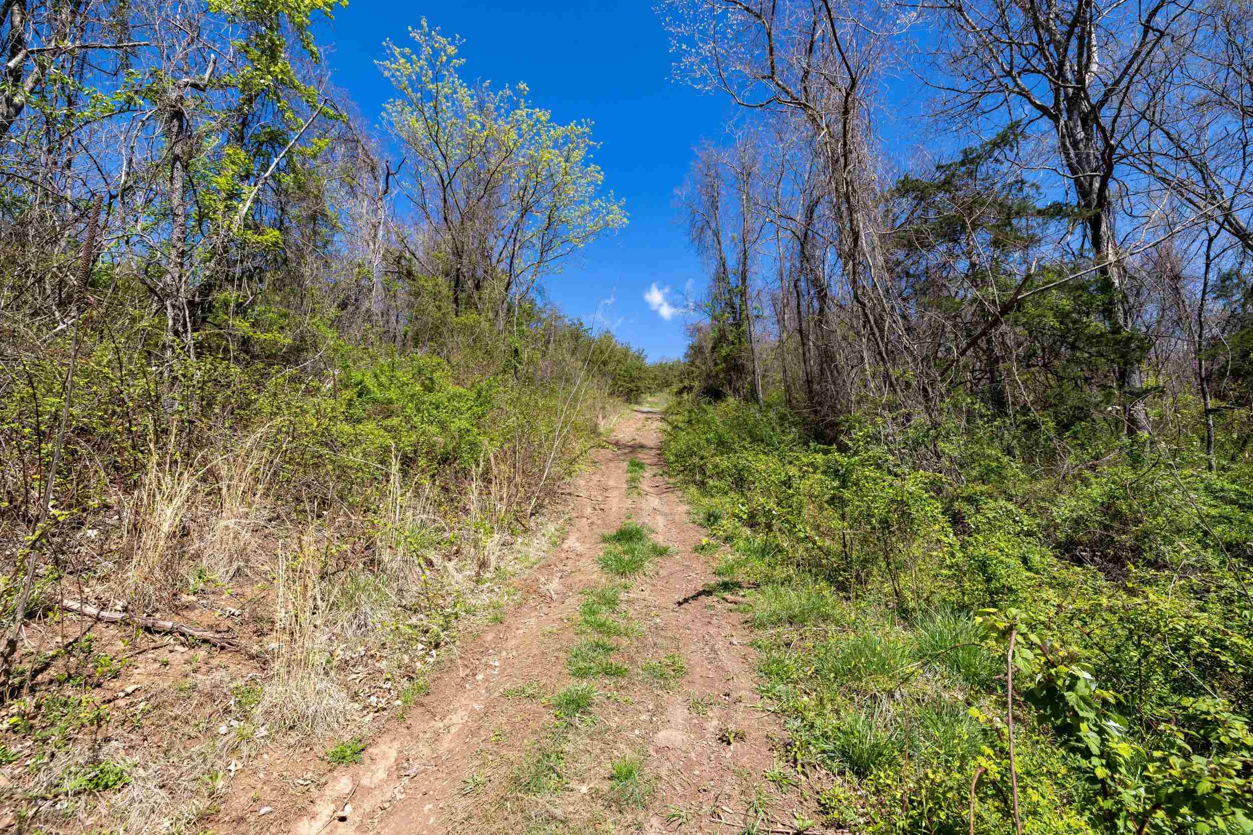 Off Jollett Road Elkton, VA 22827 - Photo 52 of 65 a view of a yard