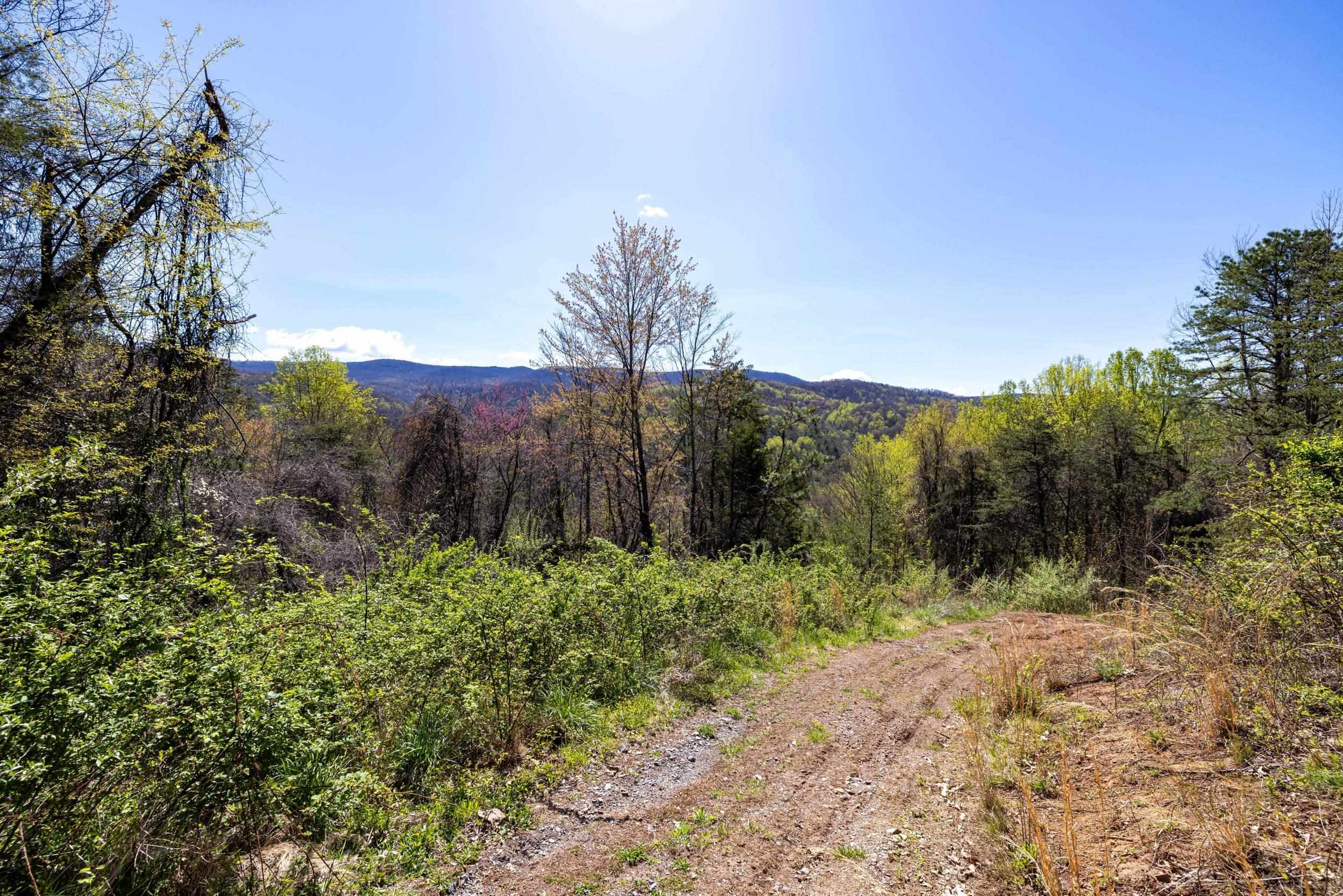 Off Jollett Road Elkton, VA 22827 - Photo 53 of 65