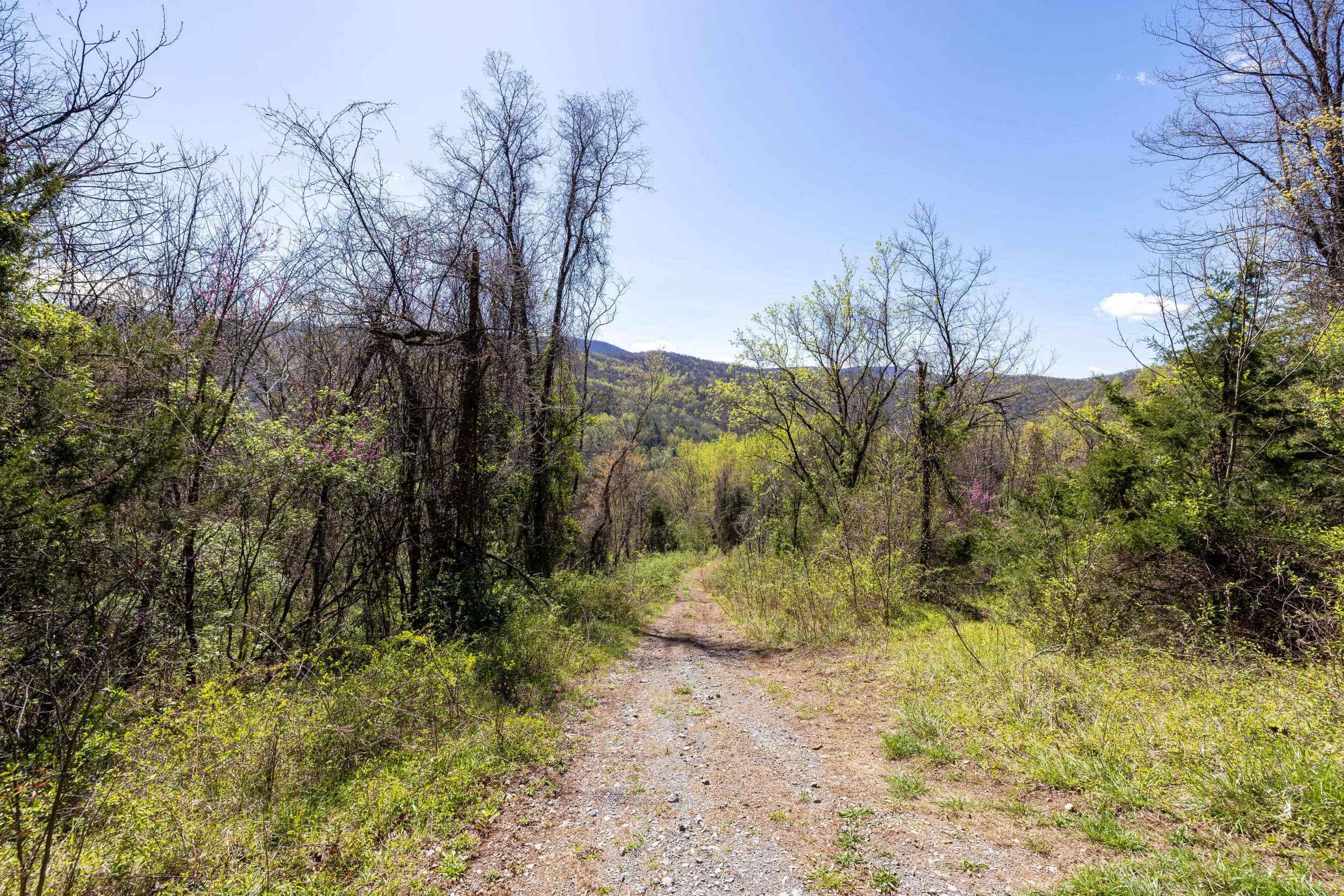 Off Jollett Road Elkton, VA 22827 - Photo 54 of 65 a view of a yard with large trees
