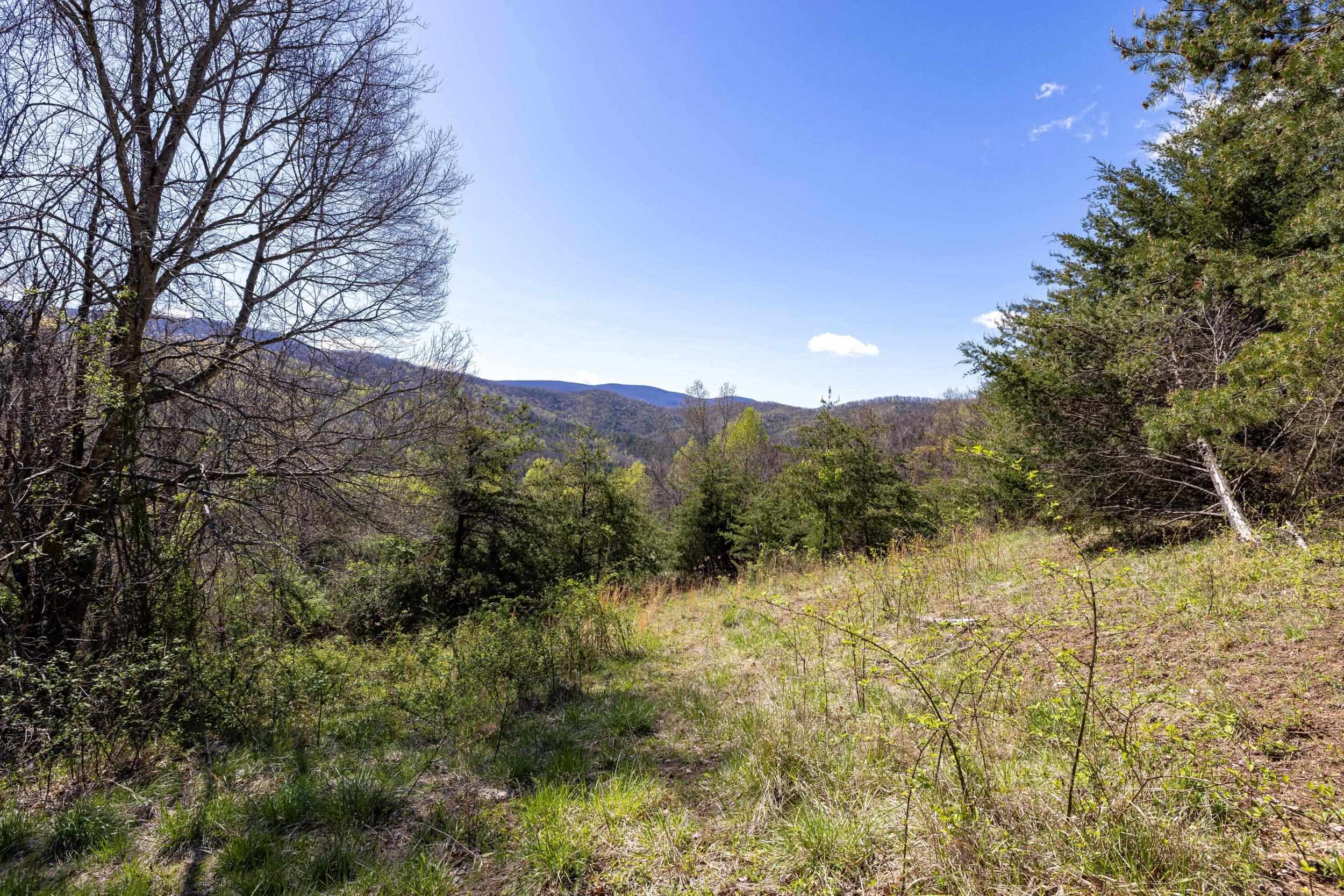 Off Jollett Road Elkton, VA 22827 - Photo 55 of 65