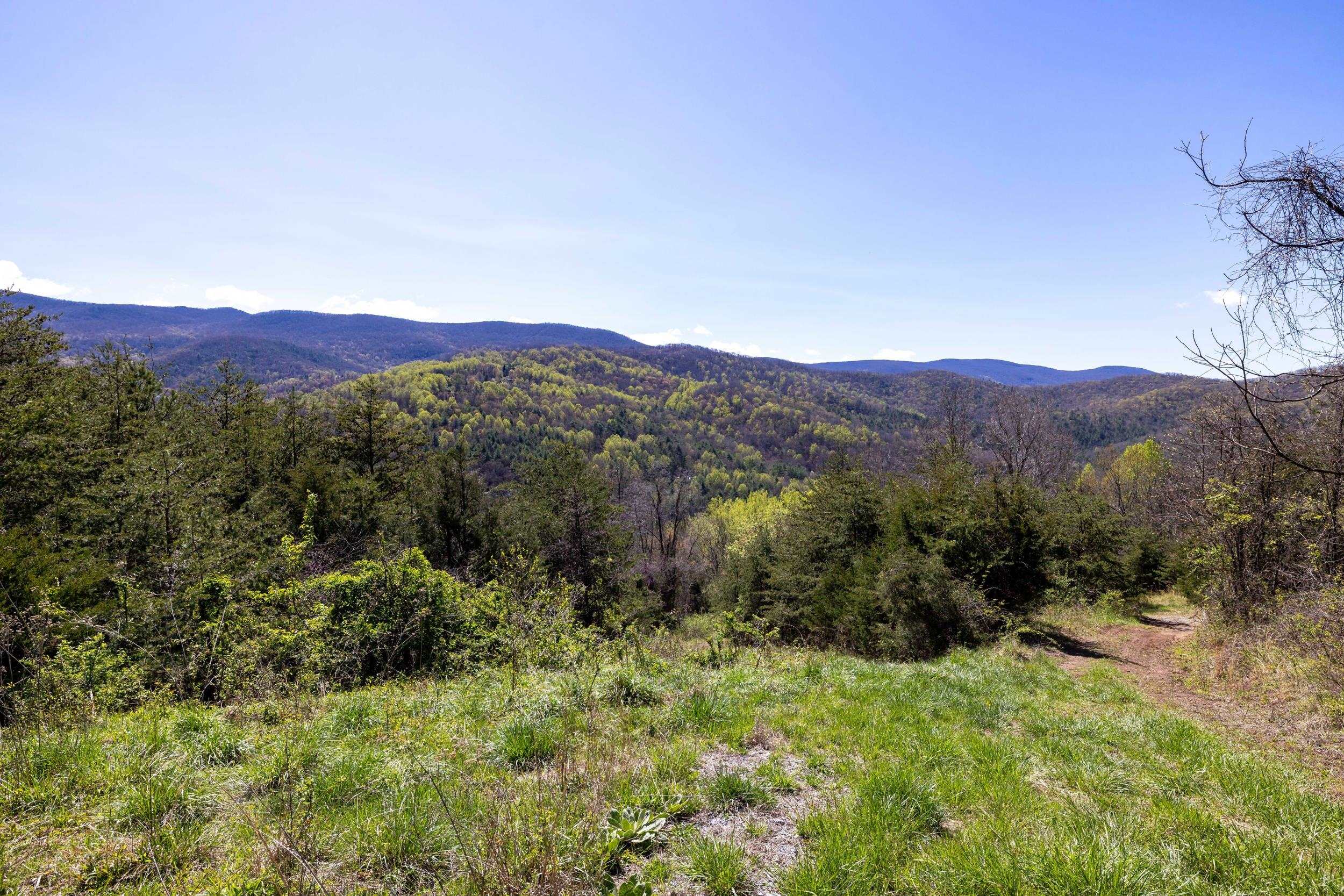 Off Jollett Road Elkton, VA 22827 - Photo 56 of 65 a view of a lush green forest with mountains in the background