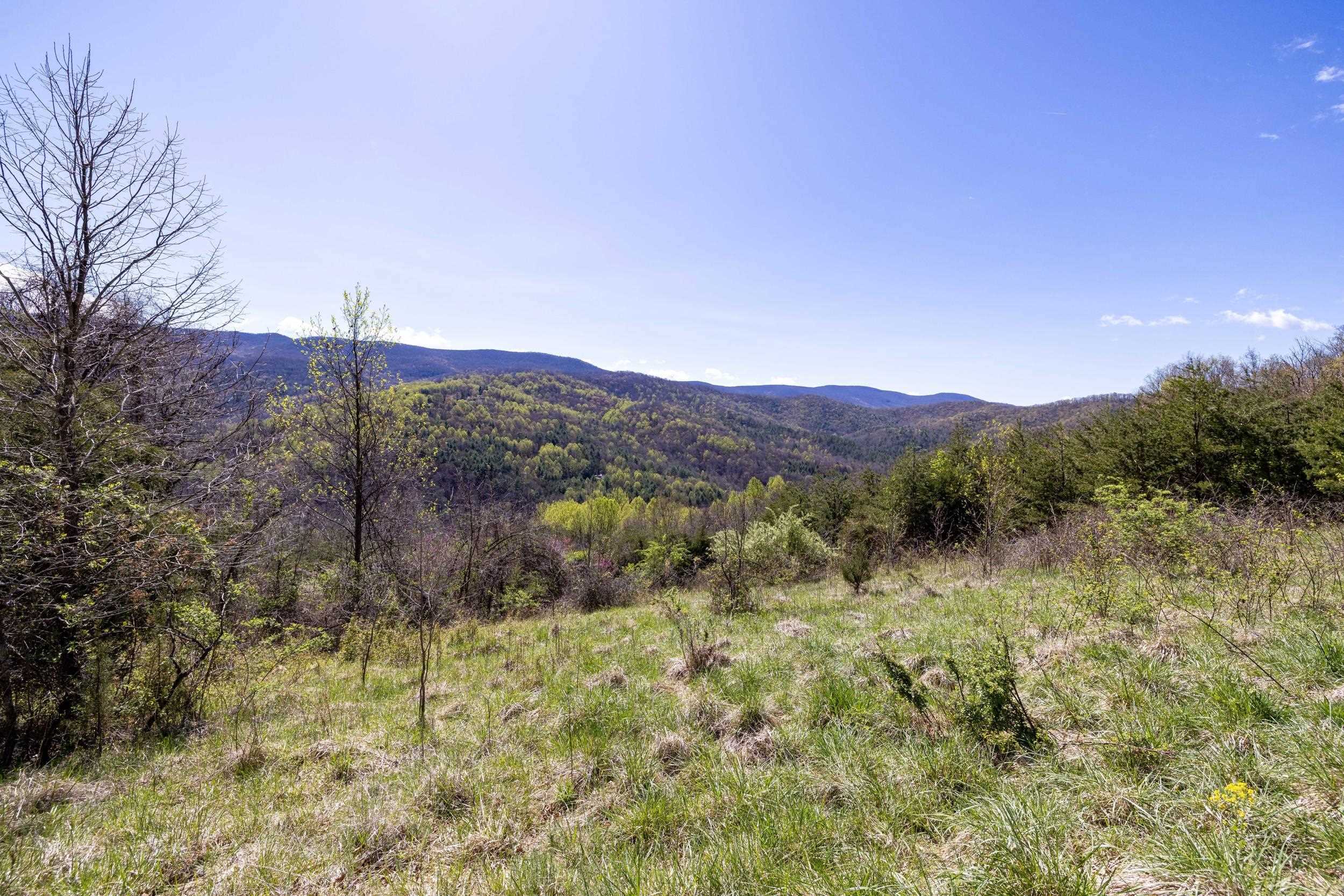 Off Jollett Road Elkton, VA 22827 - Photo 57 of 65 a view of a back yard