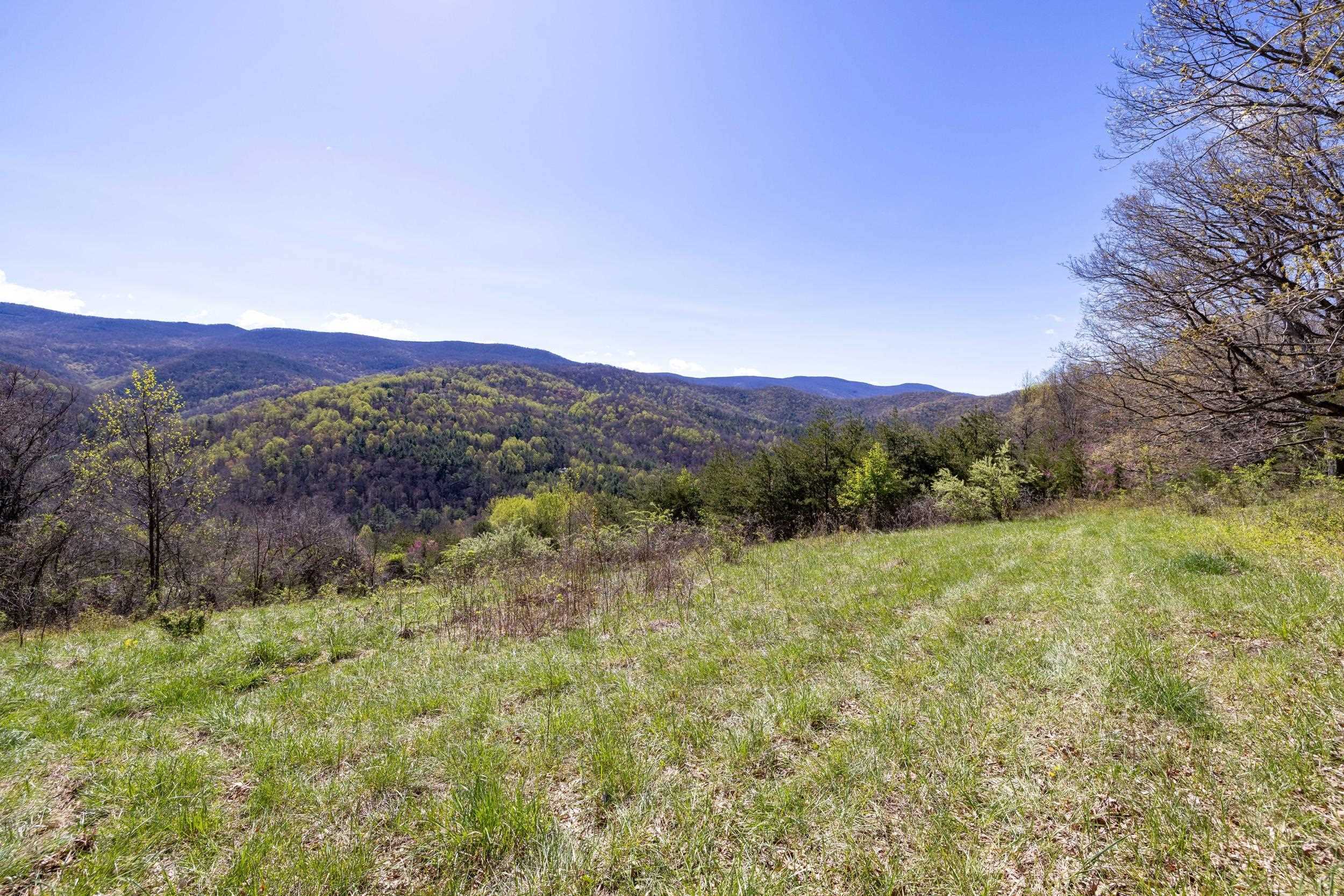 Off Jollett Road Elkton, VA 22827 - Photo 60 of 65 a view of a lush green mountain in the distance in a field