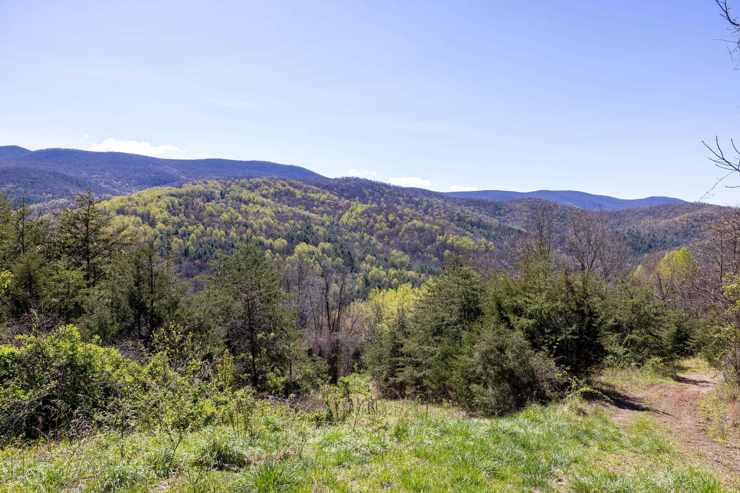 Off Jollett Road Elkton, VA 22827 - Photo 61 of 65 a view of a lush green field with mountains in the background