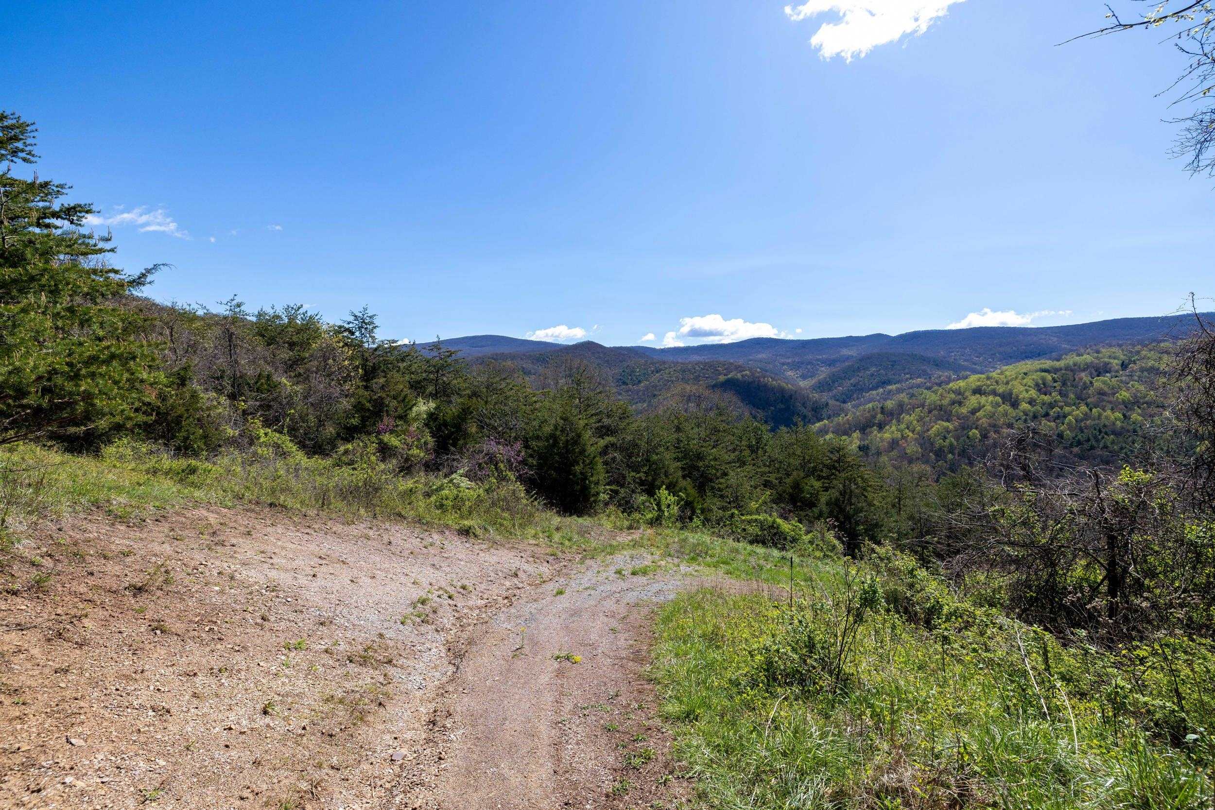 Off Jollett Road Elkton, VA 22827 - Photo 62 of 65 a view of a dry field with mountains in the background