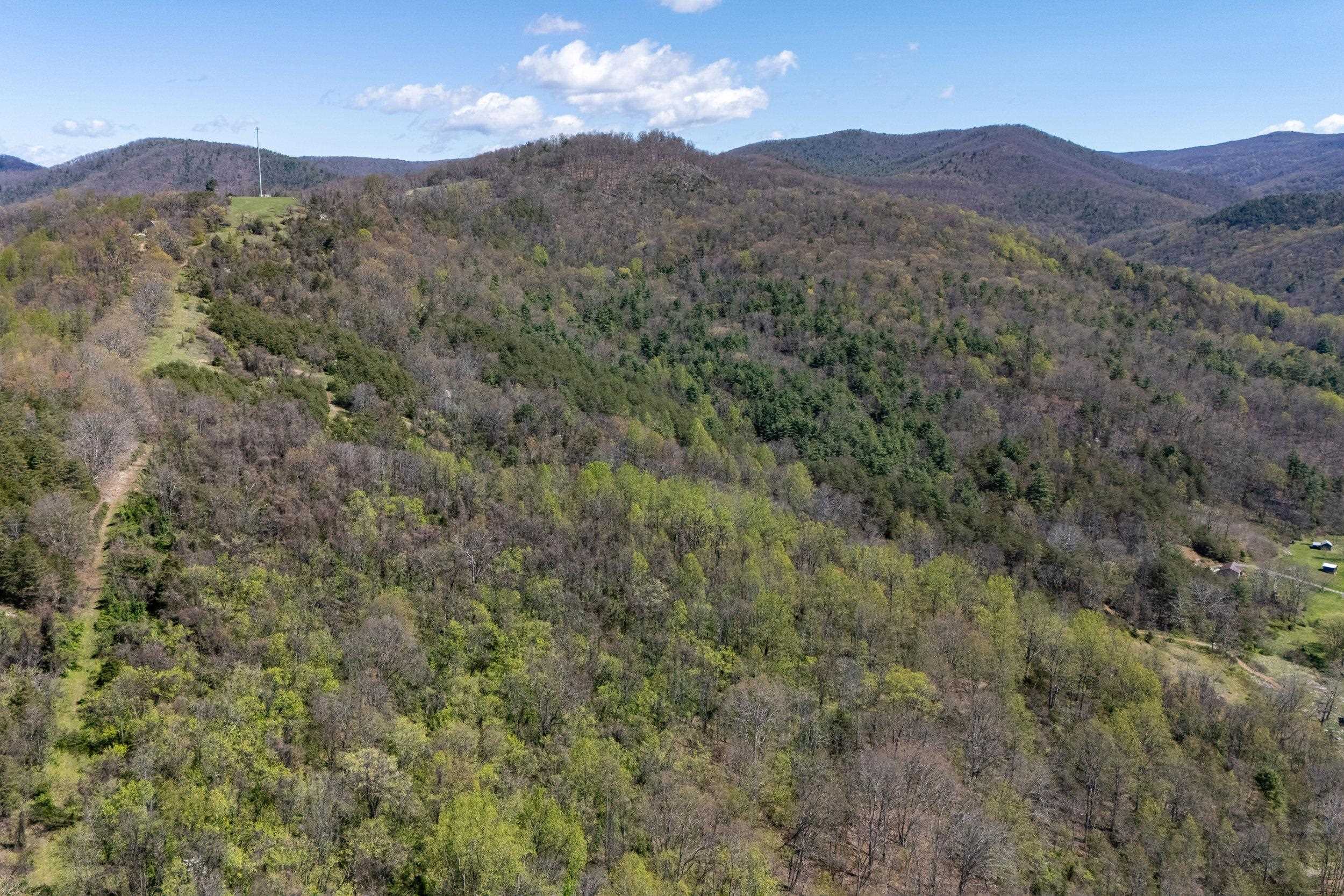 Off Jollett Road Elkton, VA 22827 - Photo 7 of 65 a view of a mountain range with trees in the background