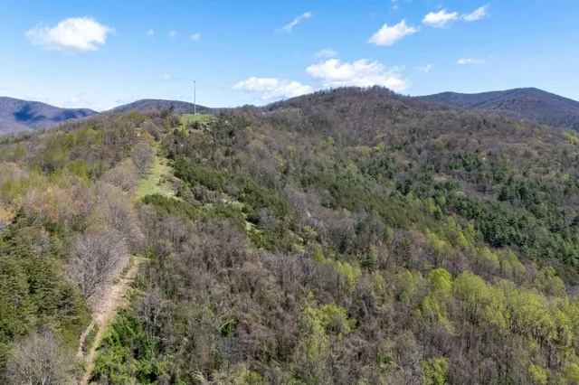 a view of a forest with mountains in the background
