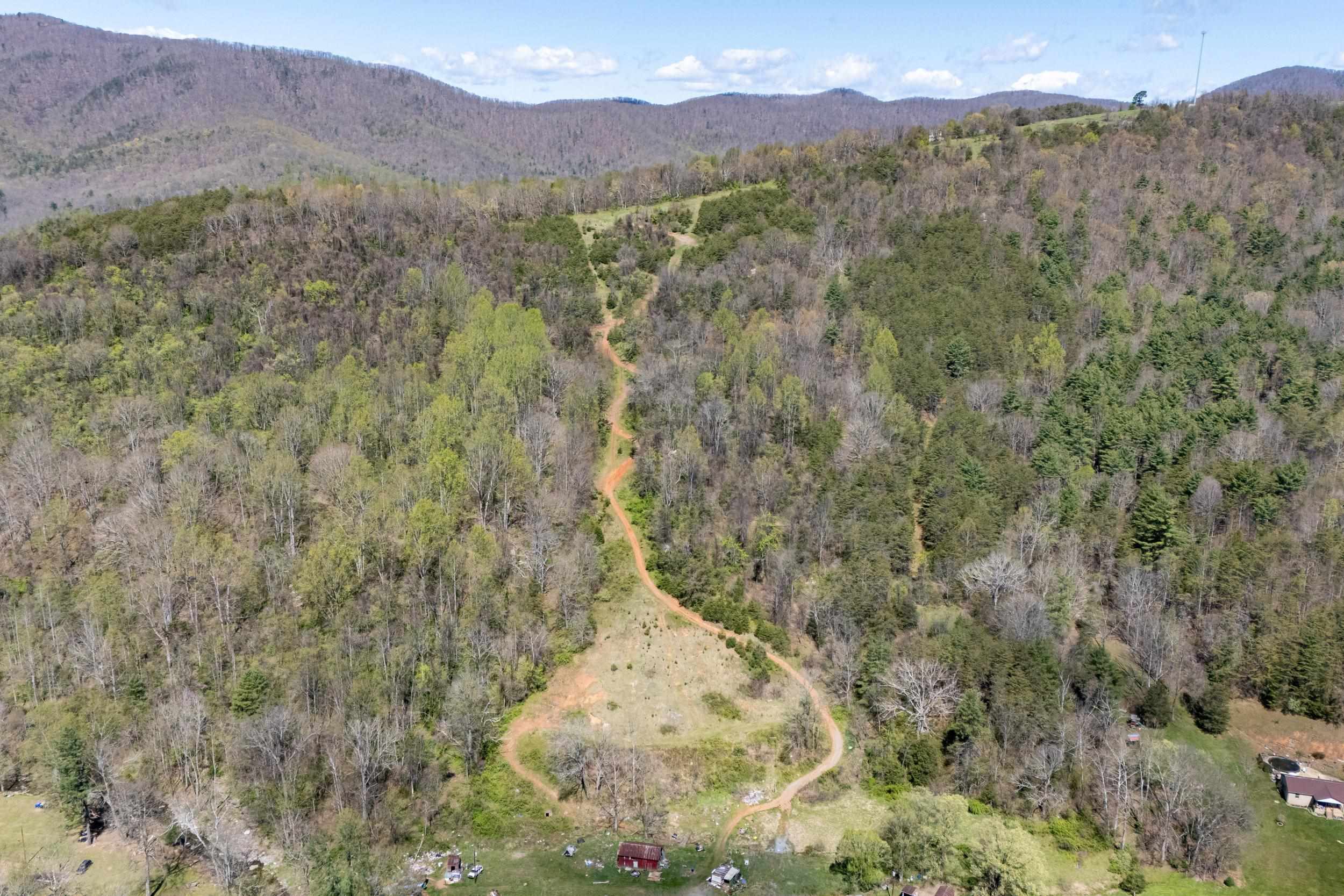 Off Jollett Road Elkton, VA 22827 - Photo 9 of 65 a view of a forest with mountains in the background