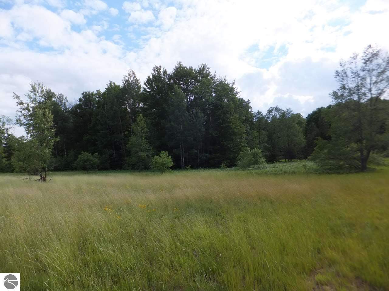 9580 No 19 Road Buckley, MI 49620 - Photo 6 of 22 1790661-5.JPG