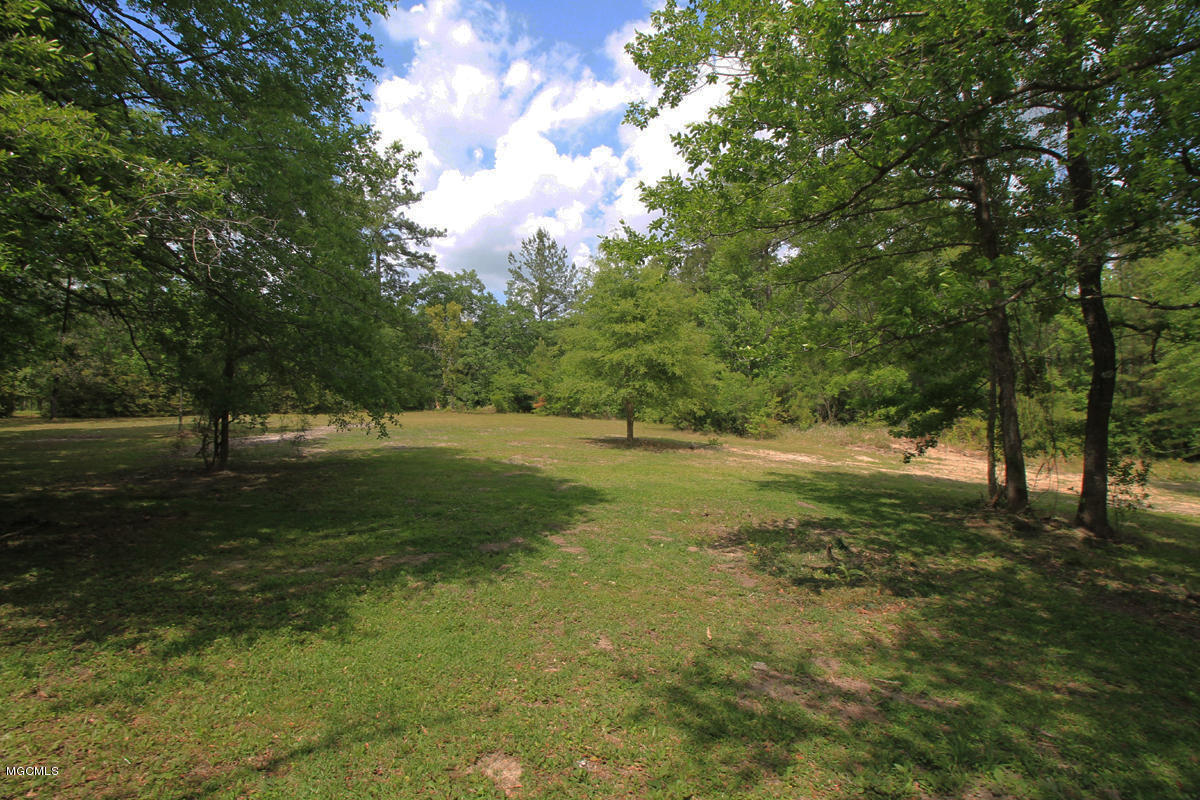 23224 Red Bluff Road Moss Point, MS 39562 - Photo 44 of 52 Yard