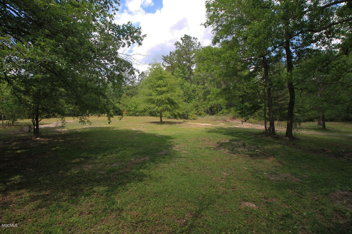 23224 Red Bluff Road Moss Point, MS 39562 - Photo 45 of 52 Yard
