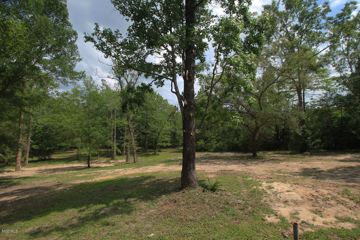 23224 Red Bluff Road Moss Point, MS 39562 - Photo 46 of 52 Yard