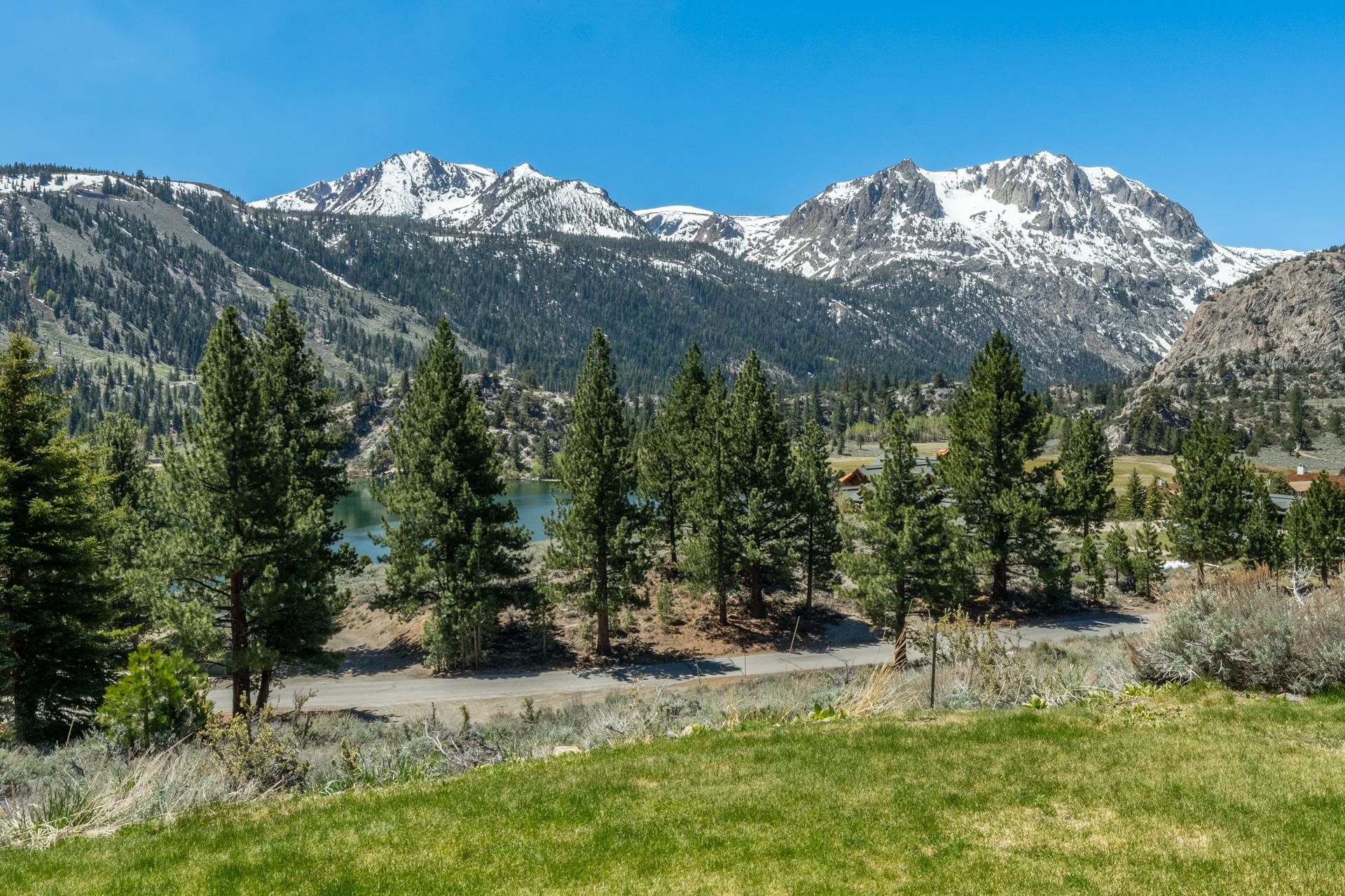 45 Skyline Road June Lake, CA 93529 - Photo 21 of 58 a view of a yard with a tree in the background
