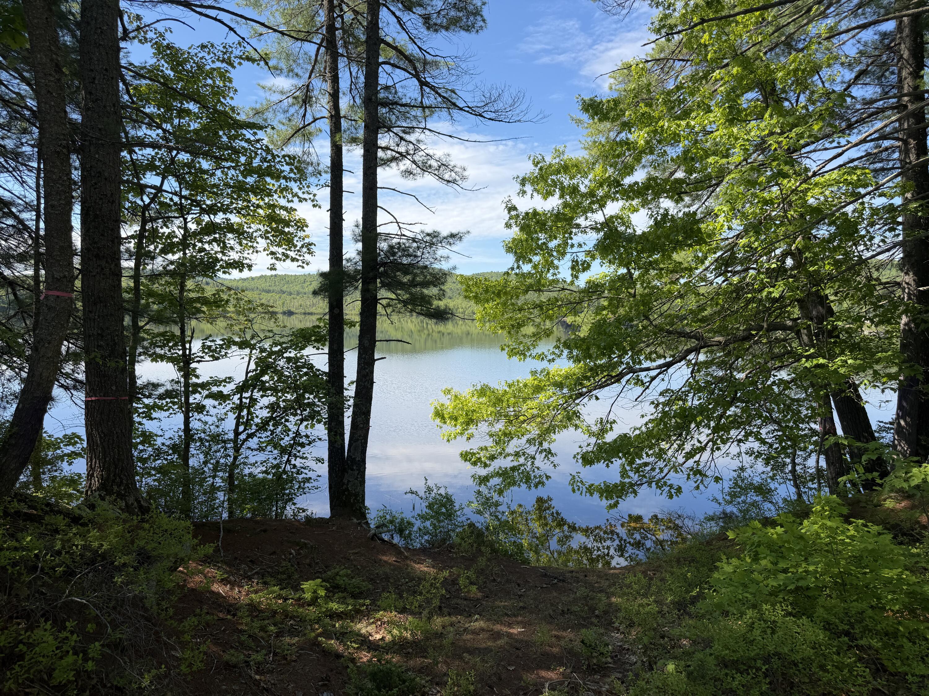 0 Hogfat Hill Road Sebago, ME 04029 - Photo 23 of 60 IMG_3186
