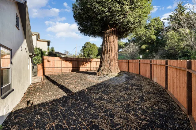 a view of a backyard with a tree