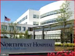 a view of a park that has a large tree