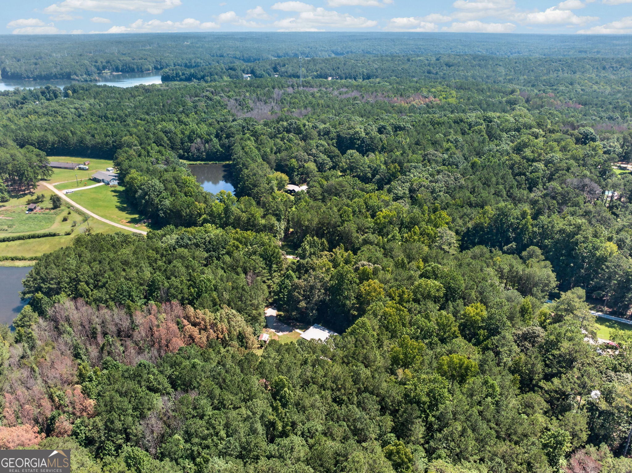 90 Edwin Smith Road Newnan, GA 30263 - Photo 45 of 47 Gallery Image 45