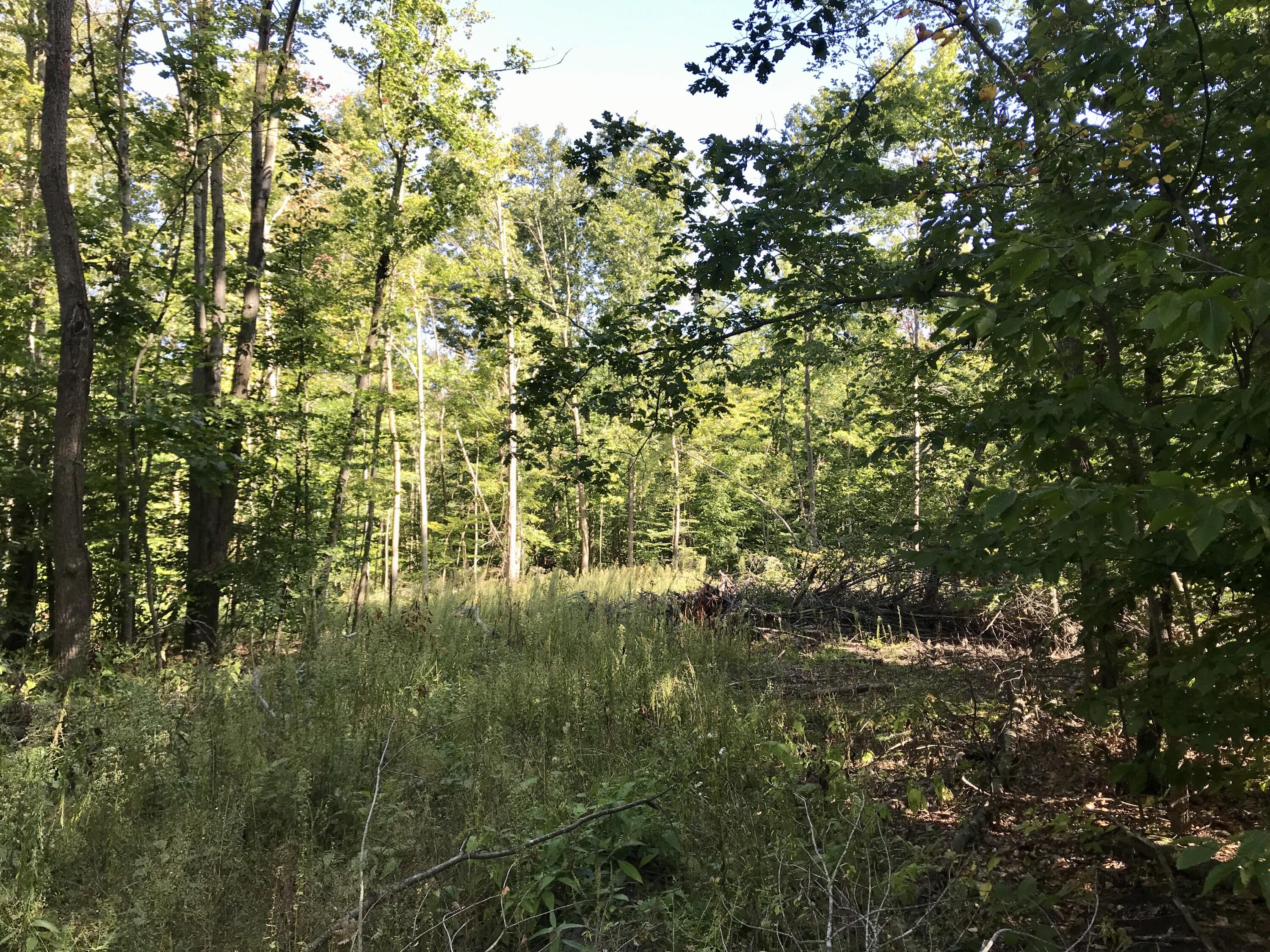 Foust Road Osseo, MI 49266 - Photo 14 of 15 IMG_0790