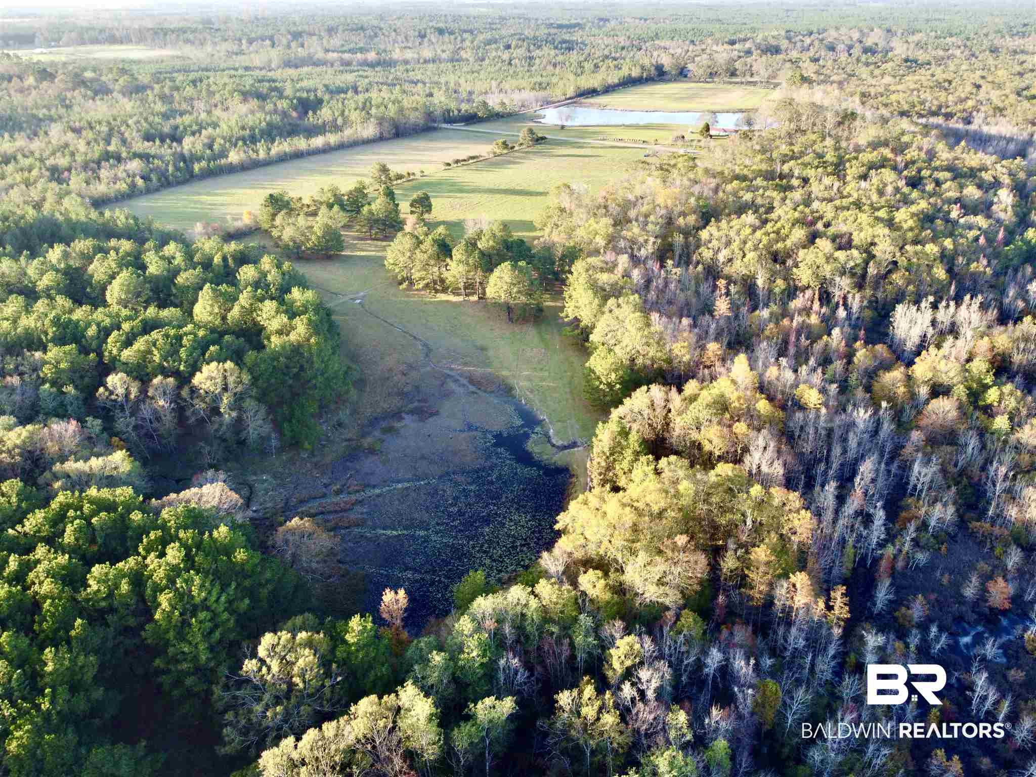 0 Country Road Fruitdale, AL 36539 - Photo 43 of 47
