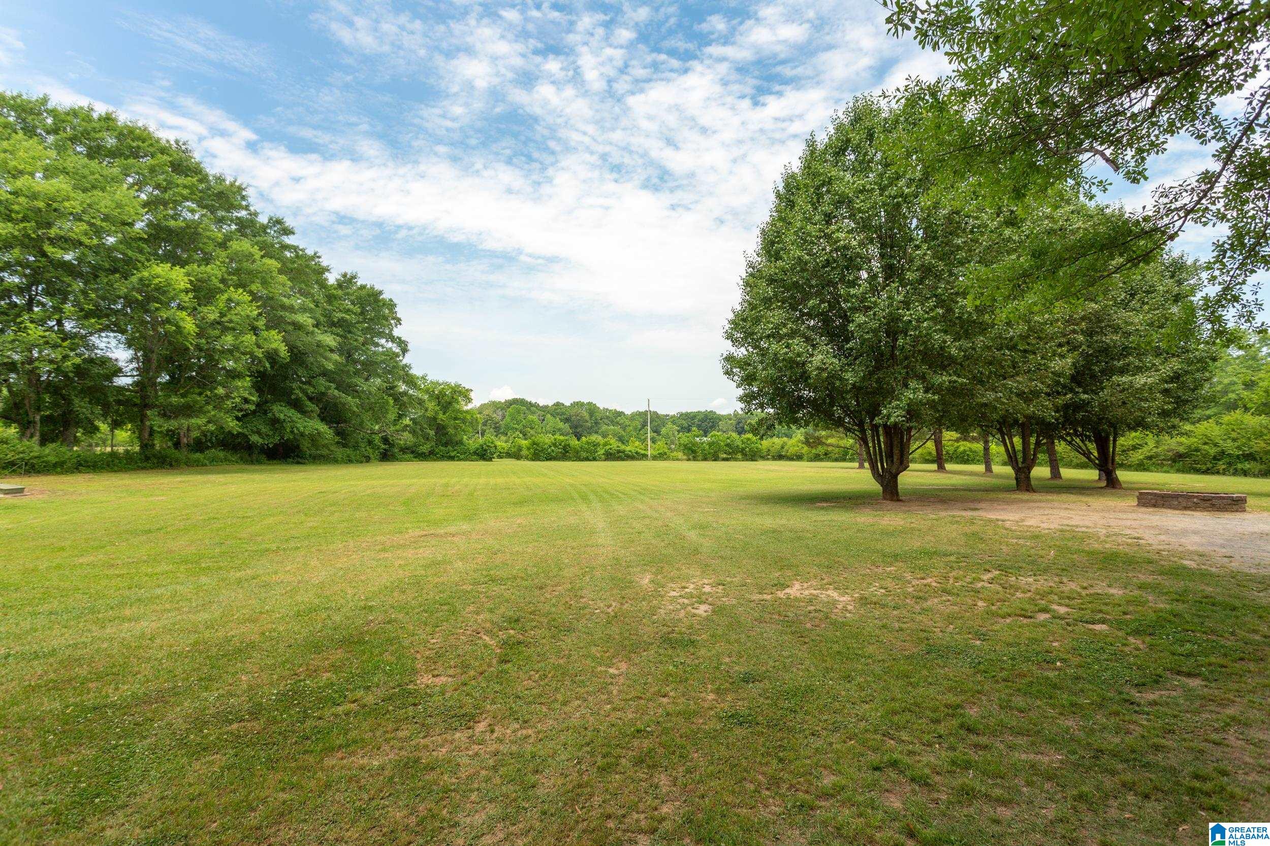 544 Fann Road Steele, AL 35987 - Photo 41 of 84