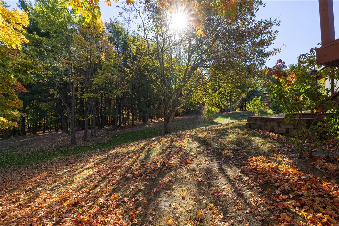 4391 Egypt Road Bristol, NY 14424 - Photo 34 of 46