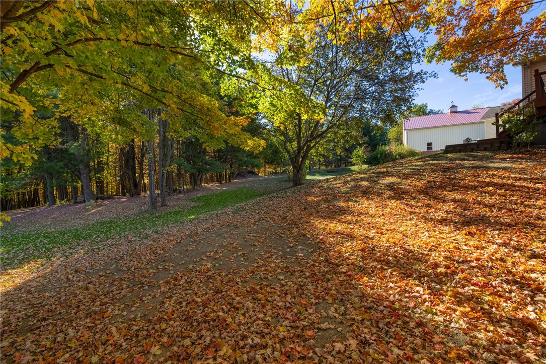 4391 Egypt Road Bristol, NY 14424 - Photo 35 of 46