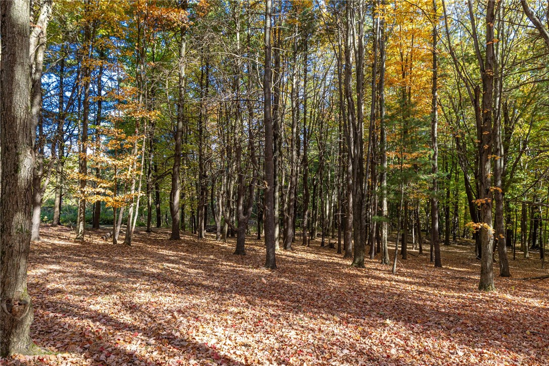 4391 Egypt Road Bristol, NY 14424 - Photo 36 of 46