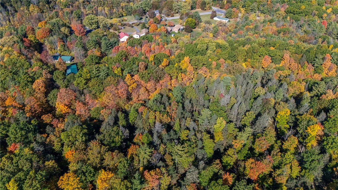 4391 Egypt Road Bristol, NY 14424 - Photo 46 of 46