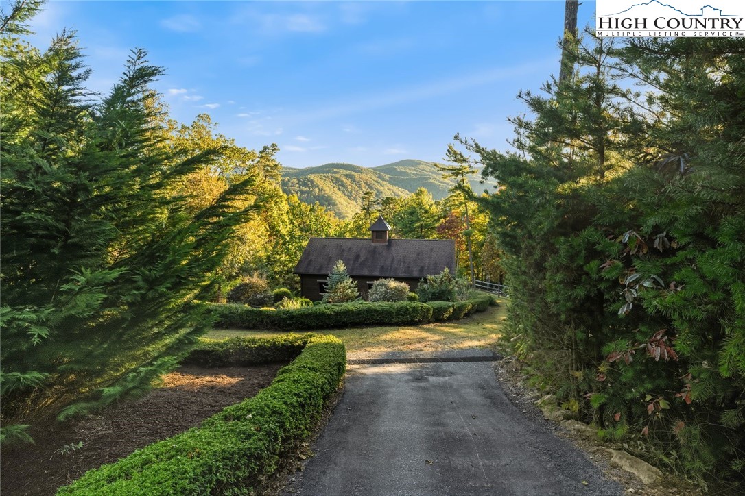 550 Big Sky Road Ferguson, NC 28624 - Photo 28 of 35 a view of a yard with plants and large trees