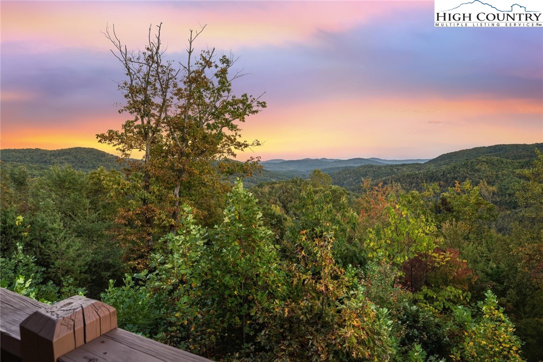 550 Big Sky Road Ferguson, NC 28624 - Photo 30 of 35 a view of a city with lush green forest