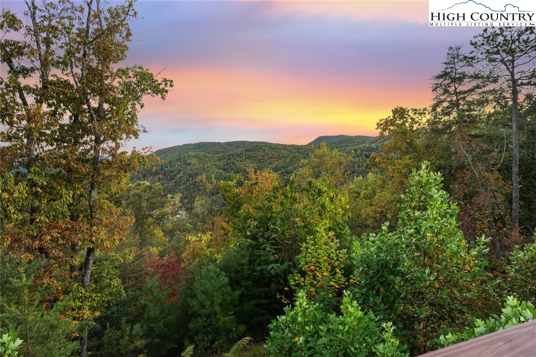 550 Big Sky Road Ferguson, NC 28624 - Photo 31 of 35 a view of a city with lush green forest