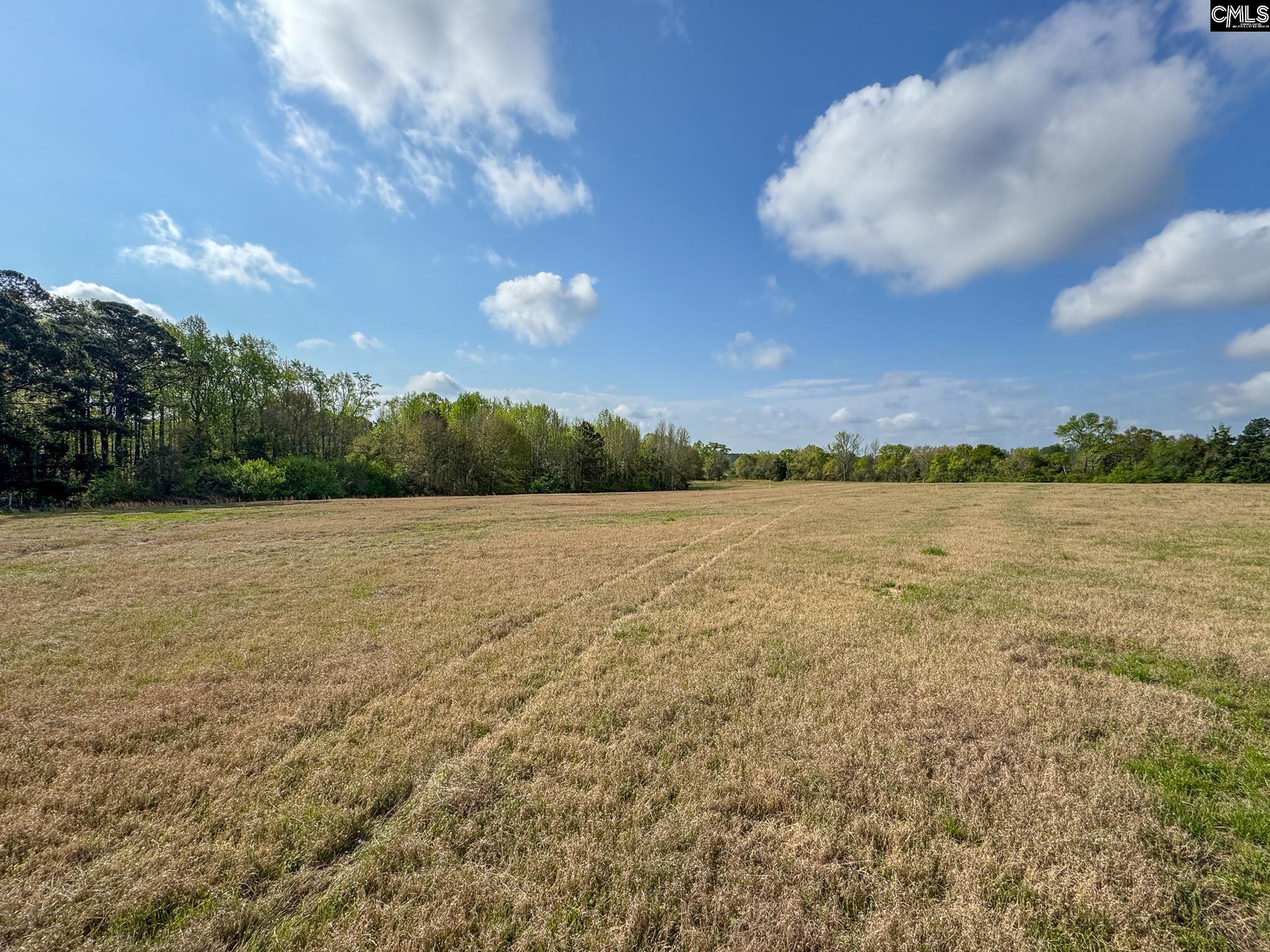 0 Shealy Road, Unit LOT 3 Batesburg, SC 29006 - Photo 2 of 15