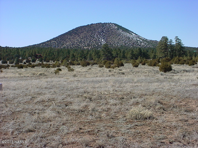 2652 East Spring Valley Road Williams, AZ 86046 - Photo 4 of 18 DSC00003