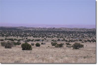 42020 Alpine Ranch Flagstaff, AZ 86004 - Photo 1 of 4 Primary Photo