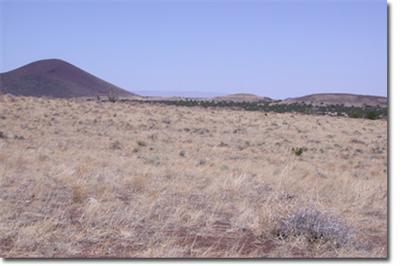 42020 Alpine Ranch Flagstaff, AZ 86004 - Photo 2 of 4 Additional Photo