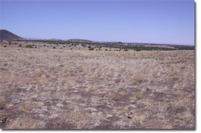 42020 Alpine Ranch Flagstaff, AZ 86004 - Photo 3 of 4 Additional Photo