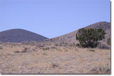 42020 Alpine Ranch Flagstaff, AZ 86004 - Photo 4 of 4 Additional Photo