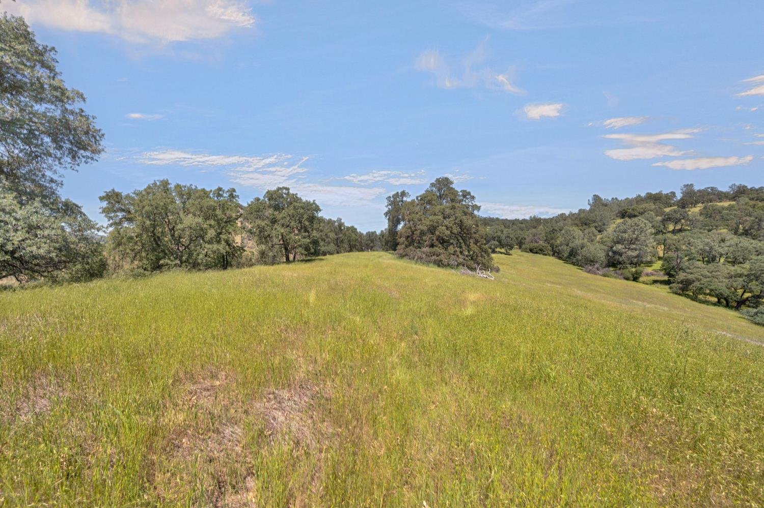0 Bayne Road Garden Valley, CA 95633 - Photo 37 of 67 Gallery Image 37