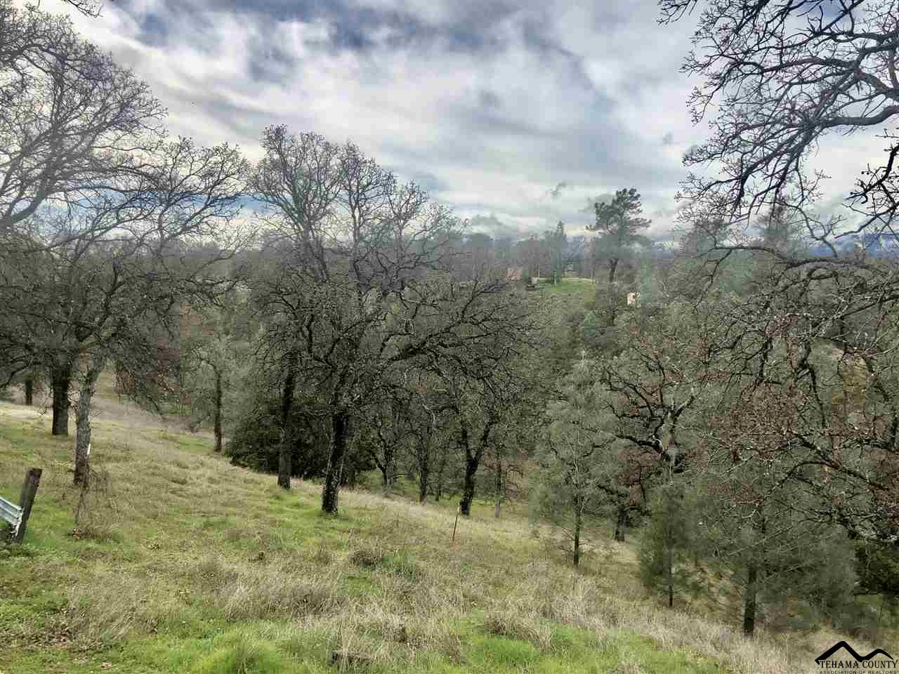 16850 Robinhill Road Corning, CA 96021 - Photo 31 of 32