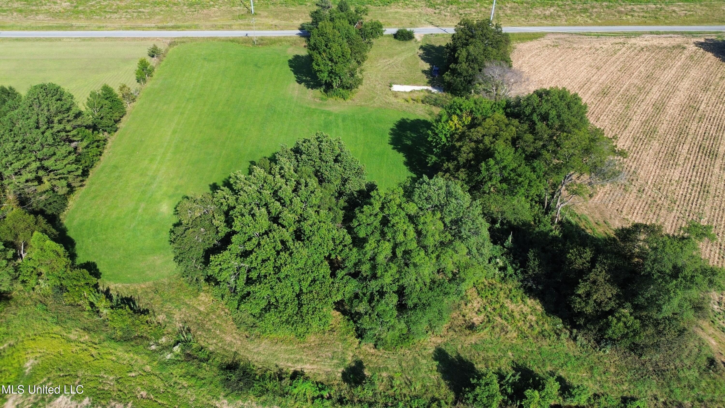 987 Sandhill Lena, MS 39094 - Photo 4 of 8 dji_fly_20250330_092106_941_175788532102