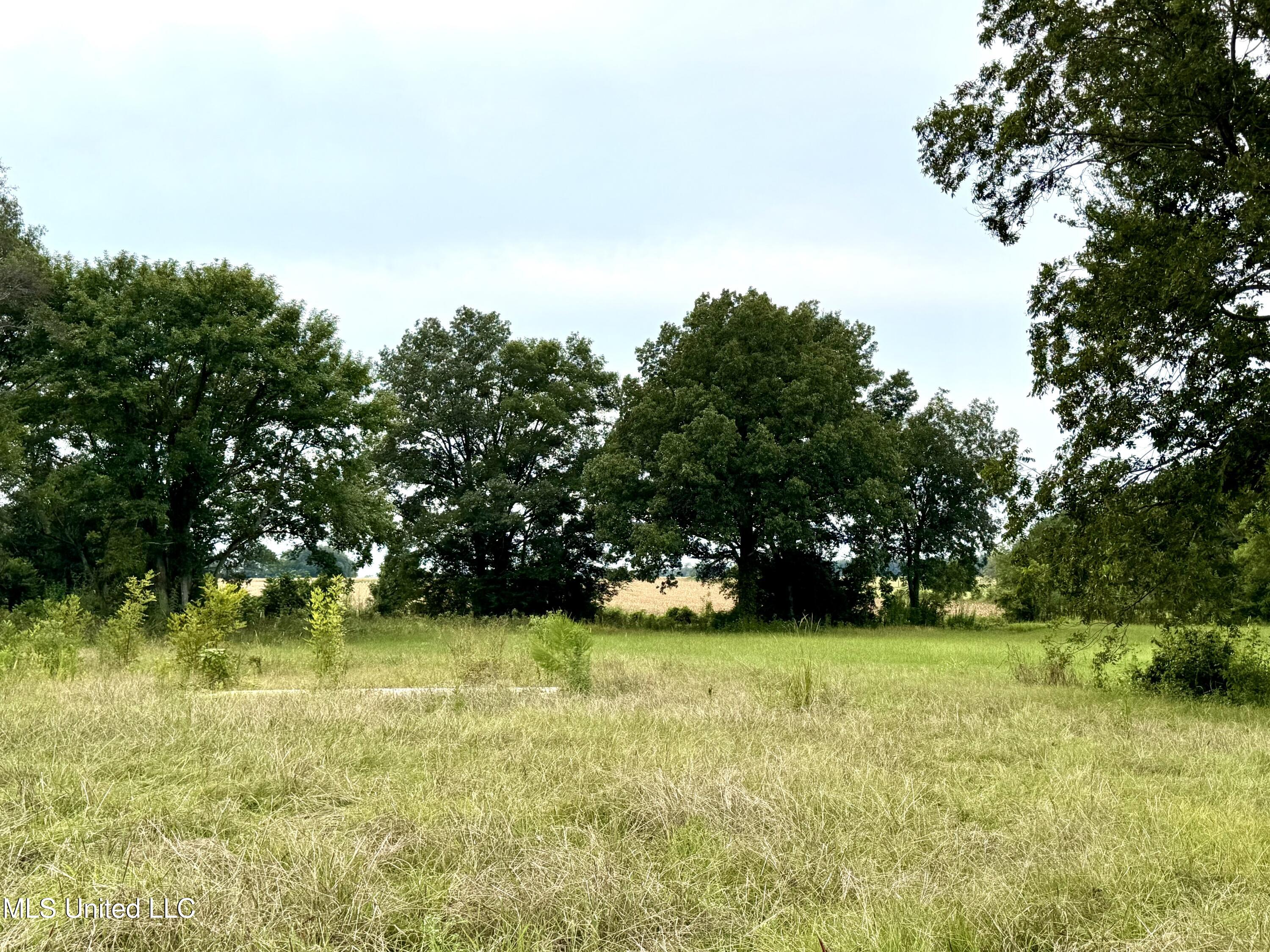 987 Sandhill Lena, MS 39094 - Photo 5 of 8 IMG_0109