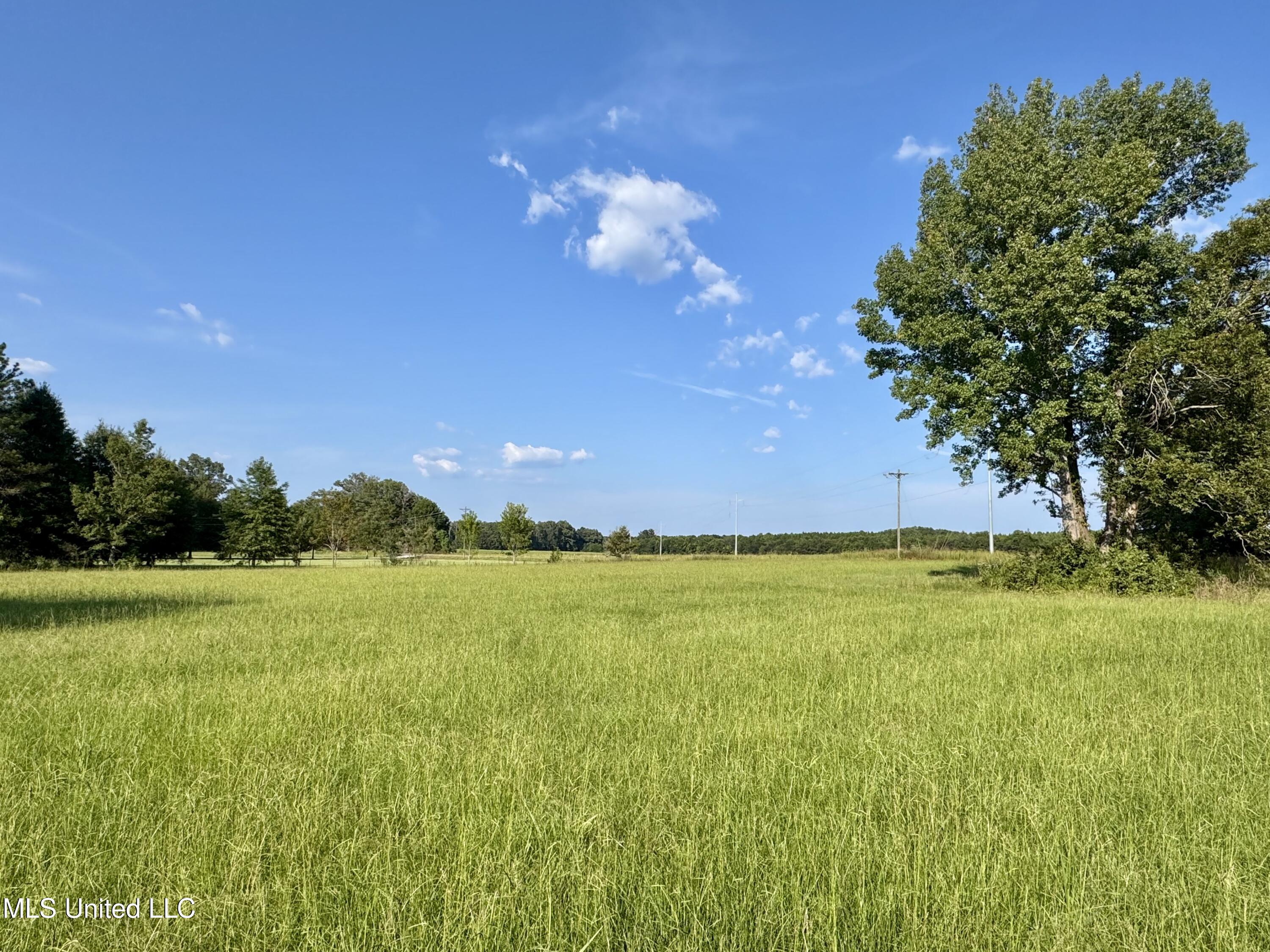 987 Sandhill Lena, MS 39094 - Photo 8 of 8 IMG_0301