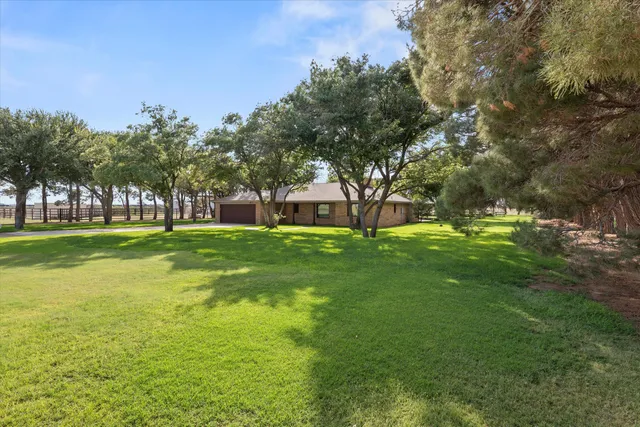 a view of a park with large trees